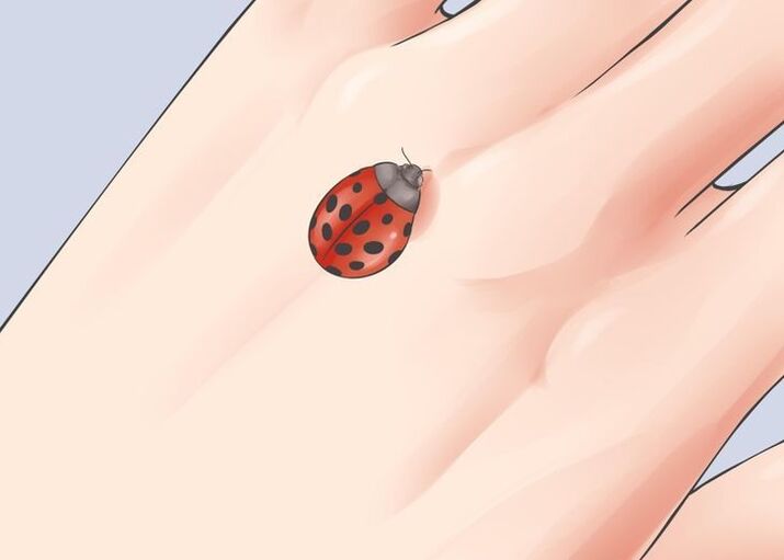 ladybug as a talisman of good fortune