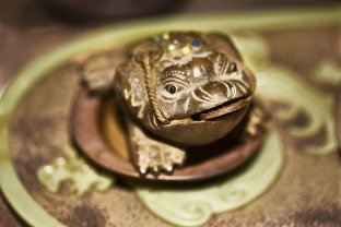 Creature-frog for luck and wealth